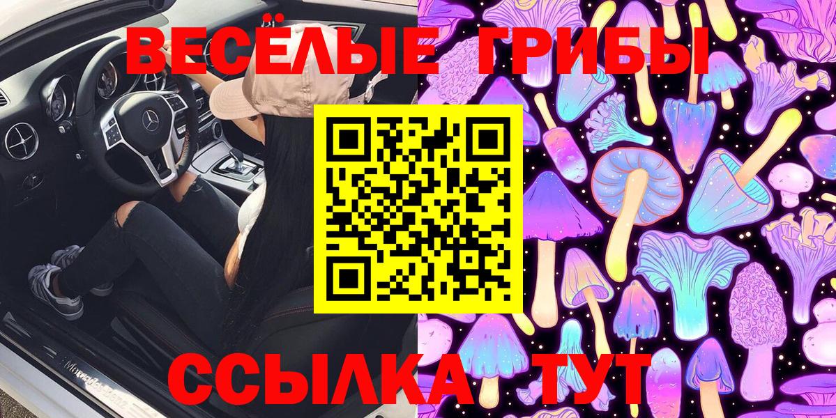 Миллерово  Псилоцибиновые грибы Psilocybine cubensis  Вход с VPN  наркошоп  Псилоцибиновые грибы Cubensis 